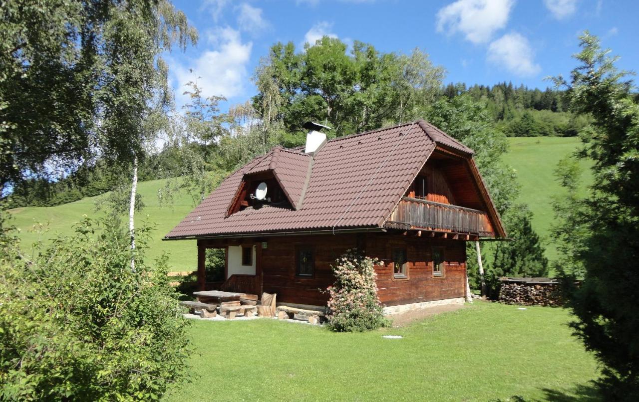 Die Petzl Huette - Kreischbergblick Kaindorf  Kültér fotó