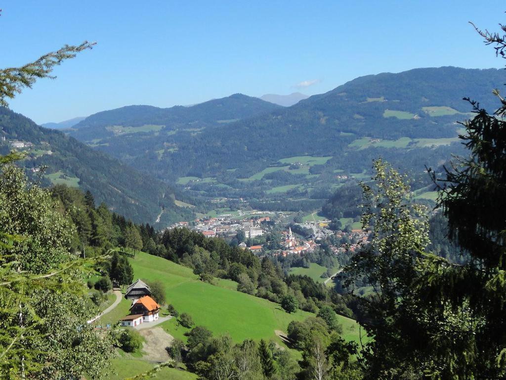 Die Petzl Huette - Kreischbergblick Kaindorf  Kültér fotó